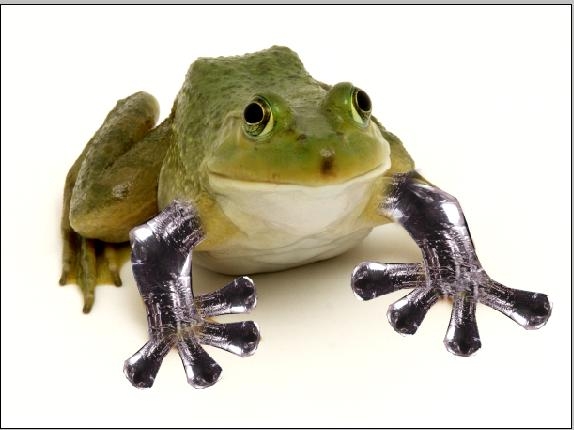 Creation of Frog: Step 1